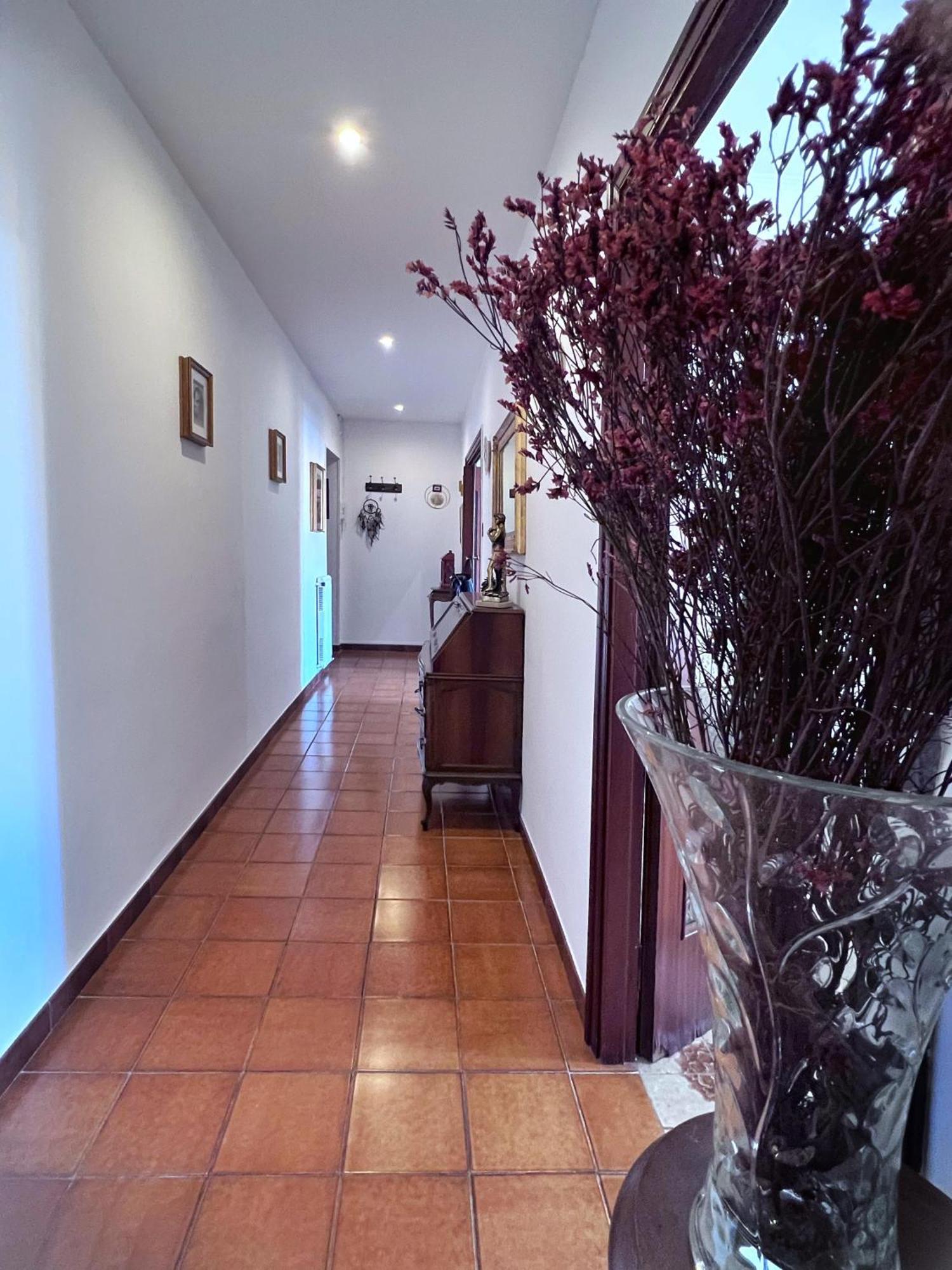 Sonia Trastevere Appartement *